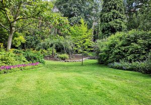 Optimiser l'expérience du jardin à Montfranc